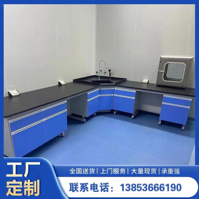 山東實驗室家具 鋼木試驗臺通風(fēng)櫥柜定制